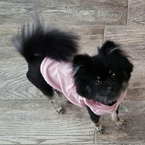 Meet your Posher, Gary